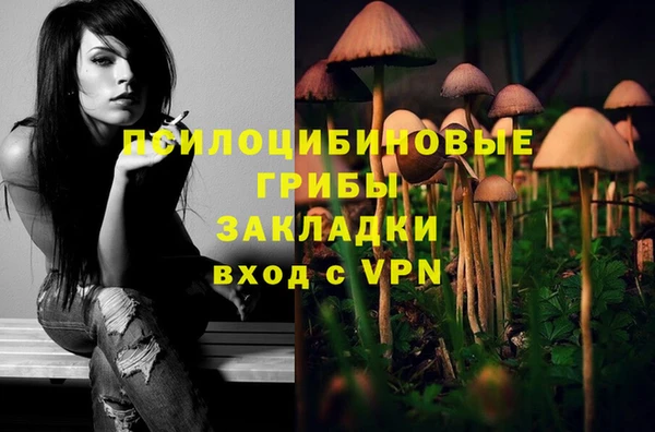 ешки Алексеевка